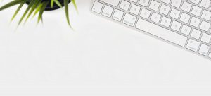 diseño web en wordpress para coaches