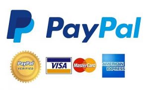 como vender servicios en internet con paypal