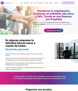 Diseño Web Empresa y Propósito