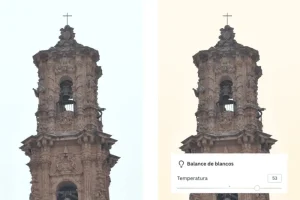 herramienta online para cambiar fondo canva