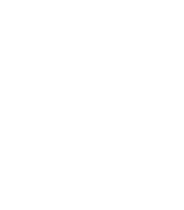 icono lupa