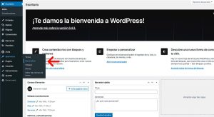 personalizar plantilla astra wordpreses